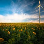 Un estudio cifra la inversión en energías renovables que se necesita para alcanzar los objetivos de emisiones cero en 2050