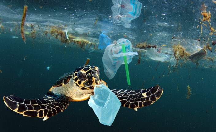 ¿Es posible un mundo sin plásticos?