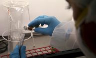 Las últimas valoraciones sobre las farmacéuticas del IBEX 35 a raíz de sus resultados anuales colocan a Pharmamar y Rovi como las preferidas del mercado