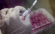 Astrazeneca concluye el ensayo de su vacuna en los Estados Unidos con un éxito mejor de lo esperado y busca la autorización de comercialización de emergencia