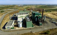 La incertidumbre sobre la planta de Ence en Pontevedra, sus resultados y a mala nota de las agencias penalizan al valor que cae un 33% en el año