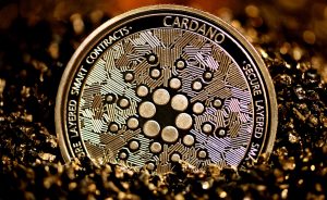 Cardano: de rival de Ethereum a carne de ‘meme’