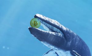 El bitcoin intenta el rebote mientras las ballenas compran la caída