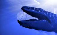 Litecoin y los peligros de una criptomoneda en manos de las ballenas