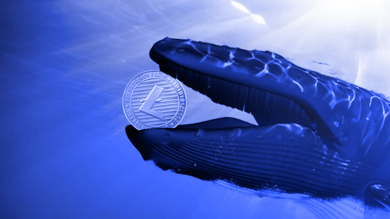 Litecoin y los peligros de una criptomoneda en manos de las ballenas - finanzas.com