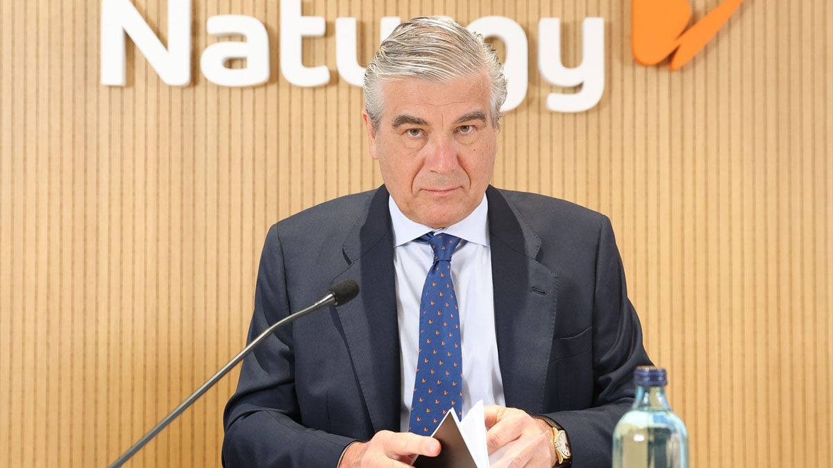 Naturgy: La Reina de los Dividendos en el Sector Energético Español Supera a Iberdrola y Endesa